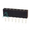 25630701RP2