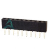 25631001RP2