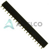 25632001RP2