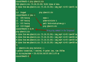 Premye plan (FG) lòd nan sistèm UNIX: sentaks, l ', ak egzanp pratik